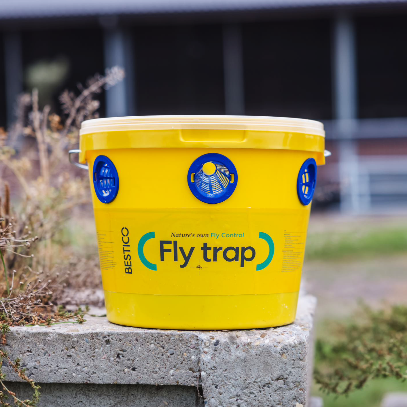 Fly Bucket Trap 10L